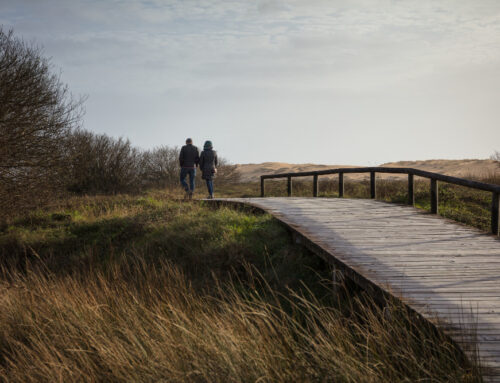 Promenader i Halmstad under hösten